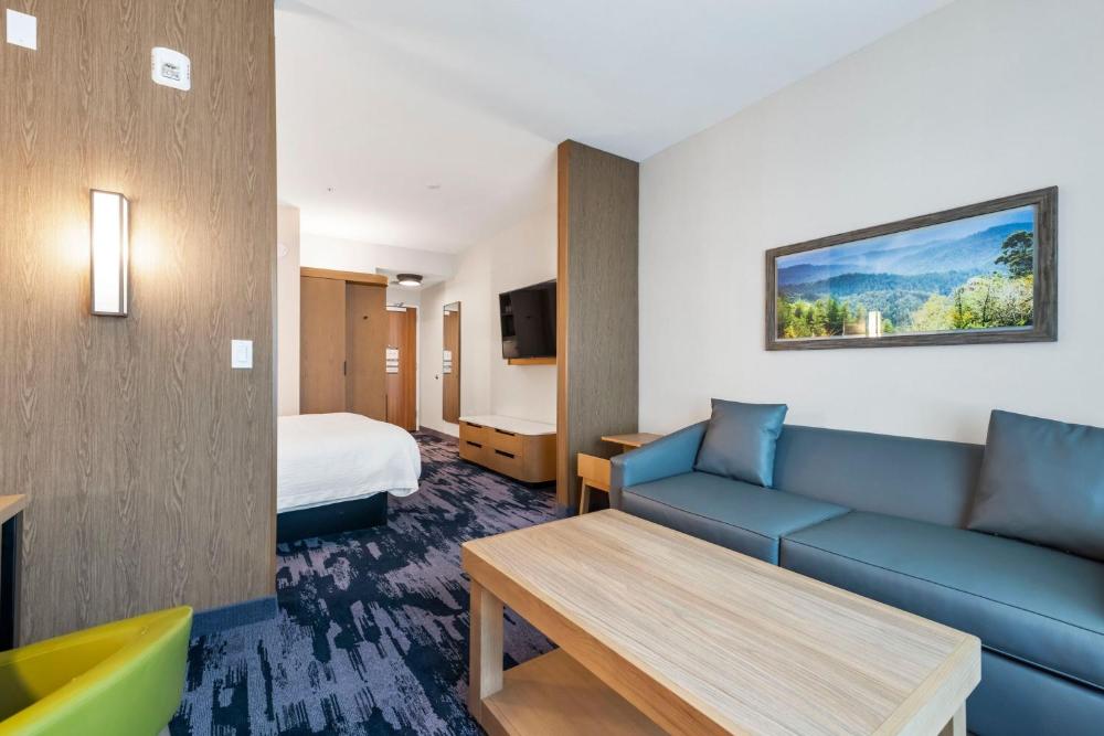 King Suite with Sofa Bed interior